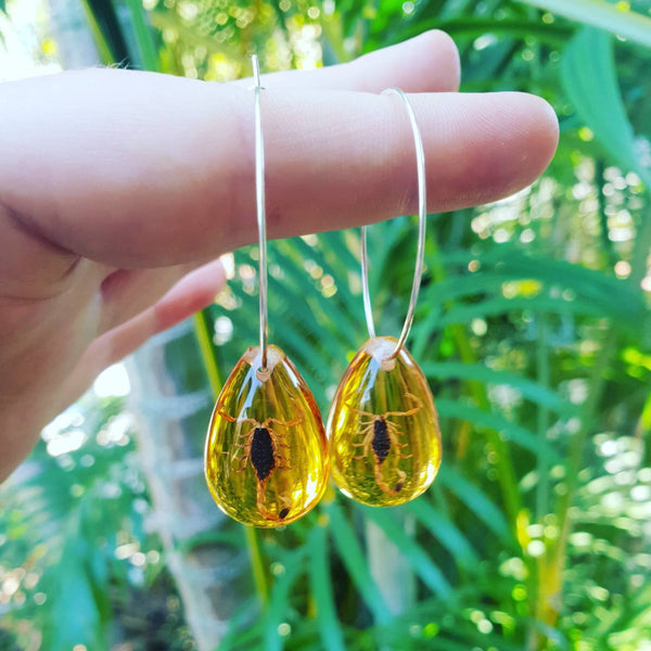 Real Scorpion Insect Jewellery