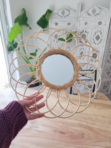 Cane mirror
