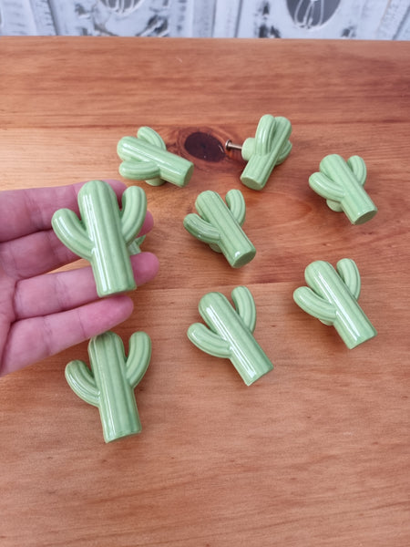 Cactus Drawer handle
