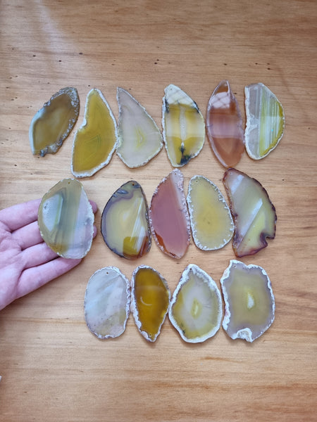 Agate slice Jewellery & Decor