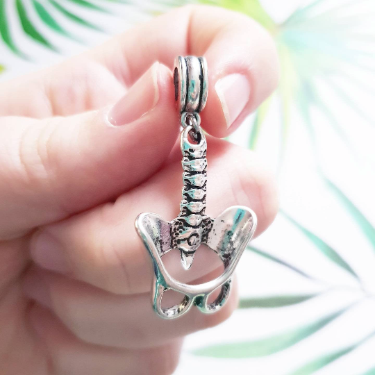 Pelvis Anatomical Jewellery