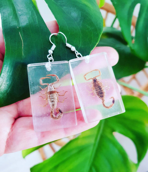 Real Scorpion Insect Jewellery