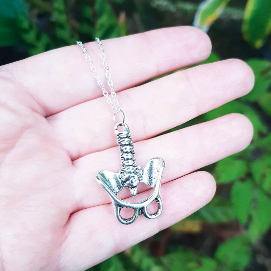 Pelvis Anatomical Jewellery