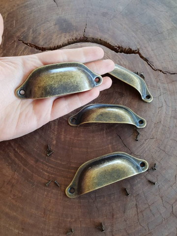 Large Shell Cup Drawer handle