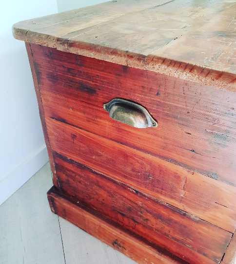 Large Shell Cup Drawer handle