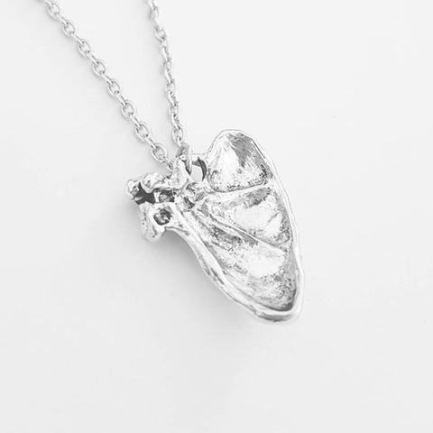 Scapula Anatomical Jewellery
