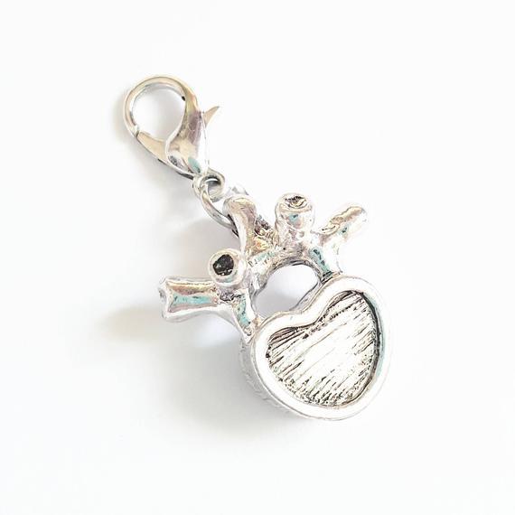 Lumbar Vertebra Anatomical Jewellery