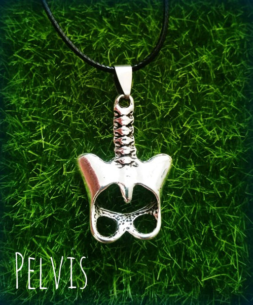 Pelvis Anatomical Jewellery