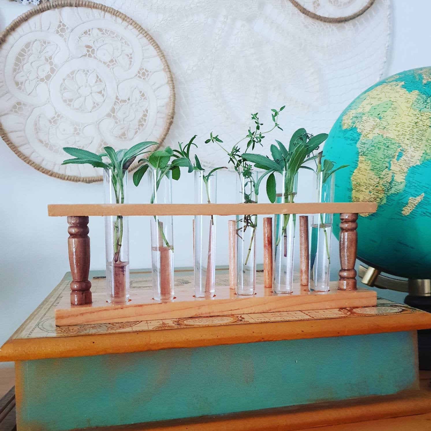 Propagation Station - Wooden Test tube rack holder for growing plants herbs to propagate