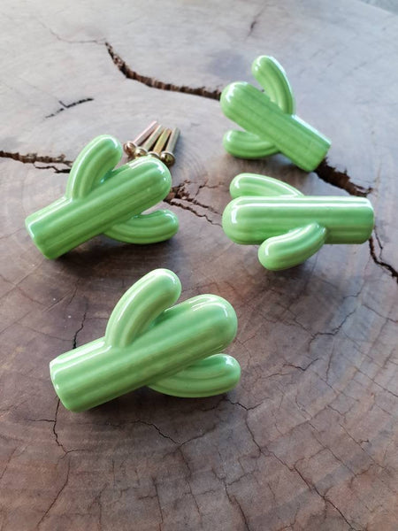 Cactus Drawer handle