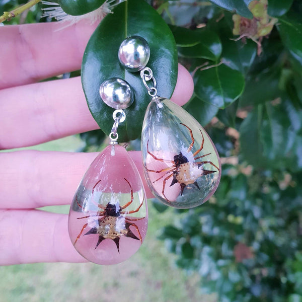 Real Scorpion Insect Jewellery